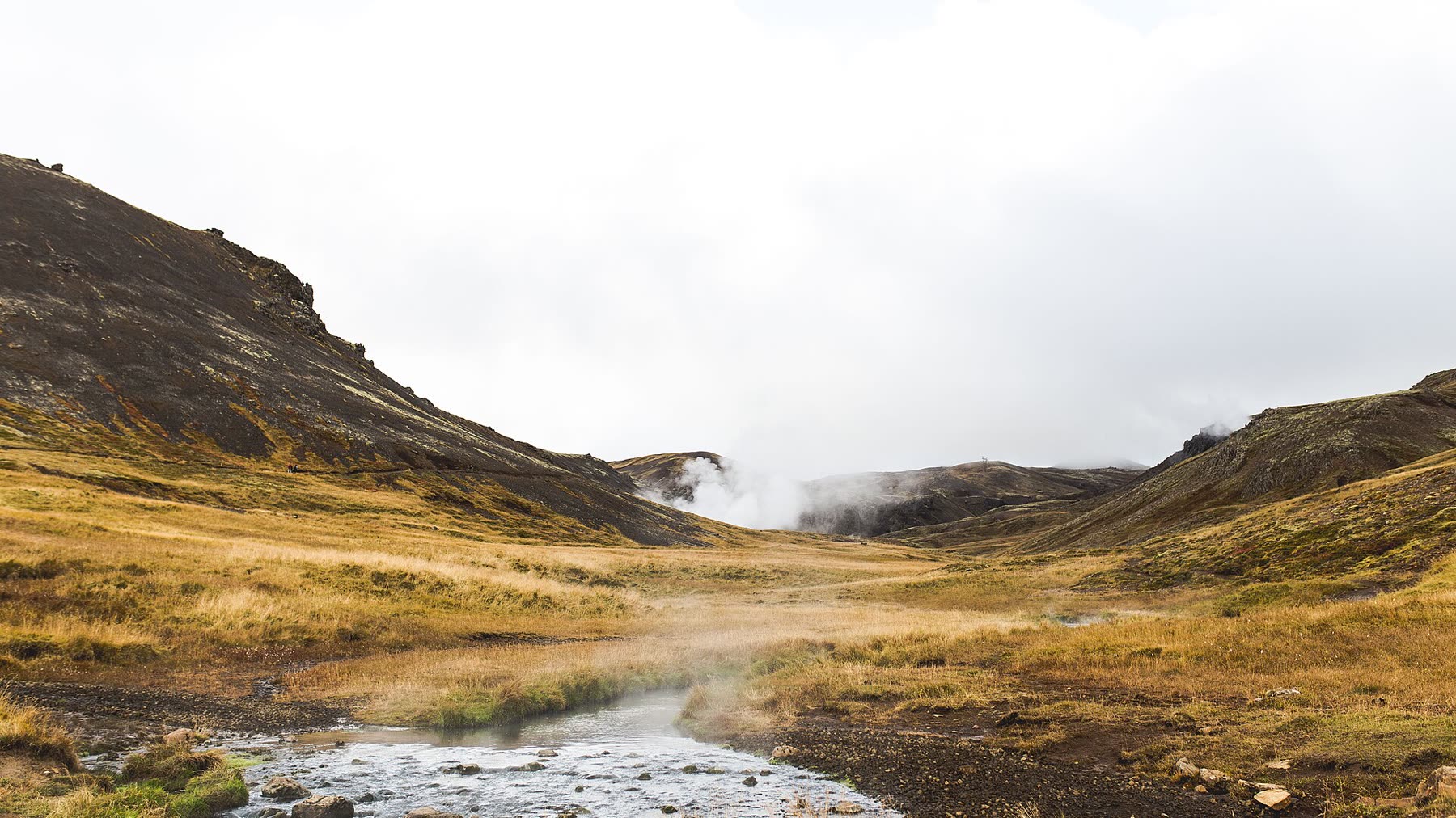 Steam bath
